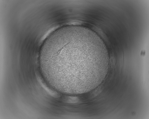 X0000113560159200910091423