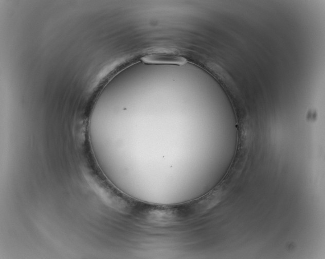 X0000113560160200910091423