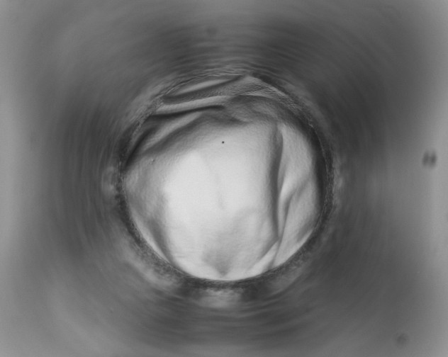 X0000113560161200910091423