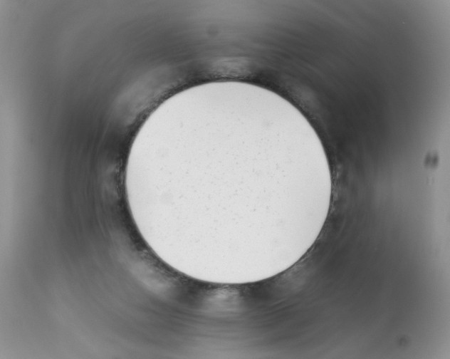 X0000113560162200910091423