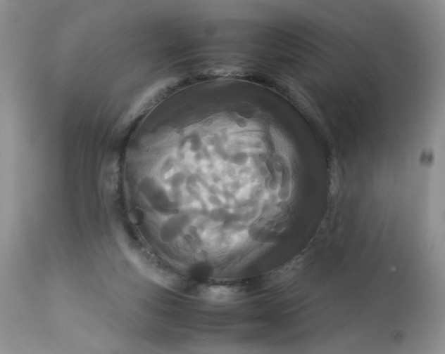X0000113560163200910091423