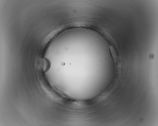 X0000113560164200910091423
