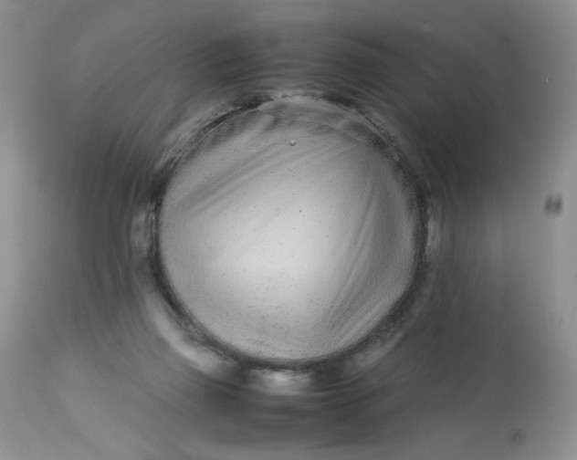 X0000113560165200910091423