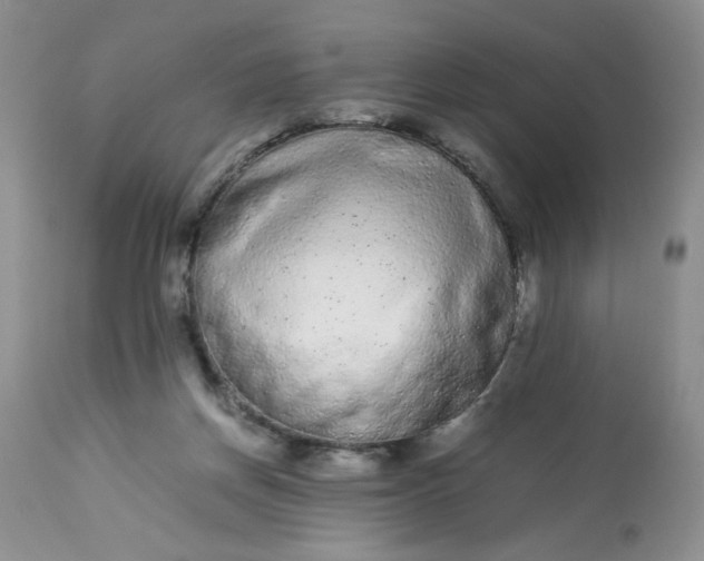 X0000113560166200910091423