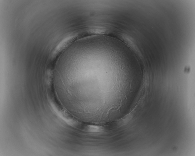 X0000113560167200910091423