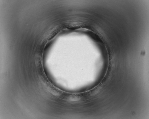 X0000113560169200910091423
