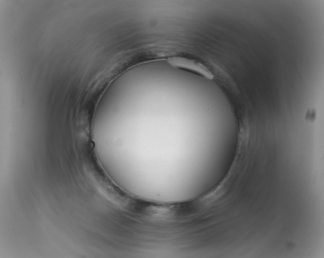 X0000113560170200910091423