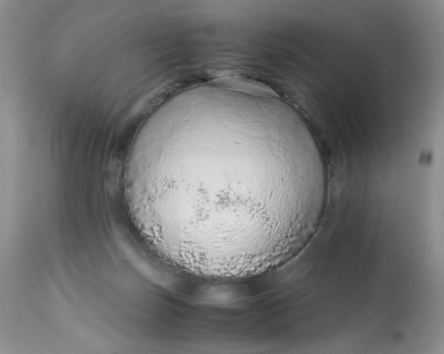 X0000113560171200910091423