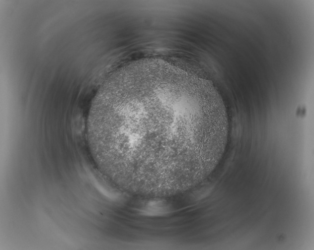 X0000113560173200910091423