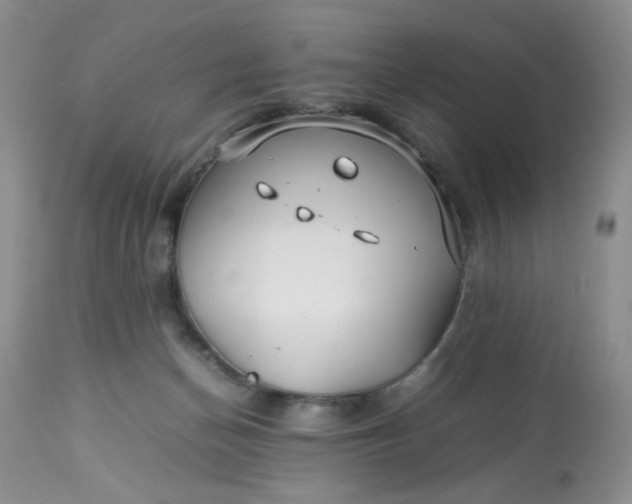 X0000113560174200910091423
