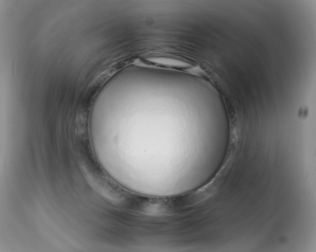 X0000113560175200910091423