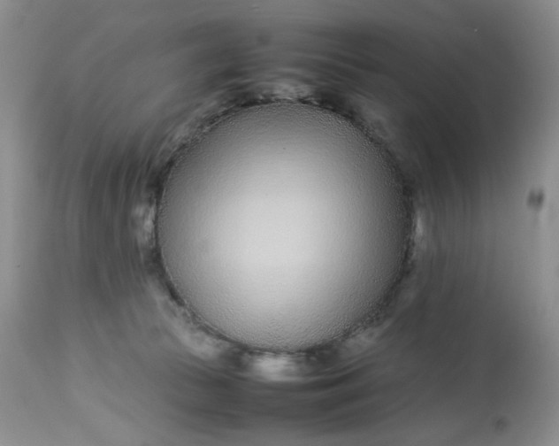 X0000113560177200910091423