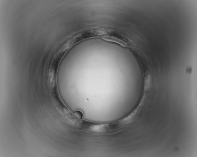 X0000113560178200910091423