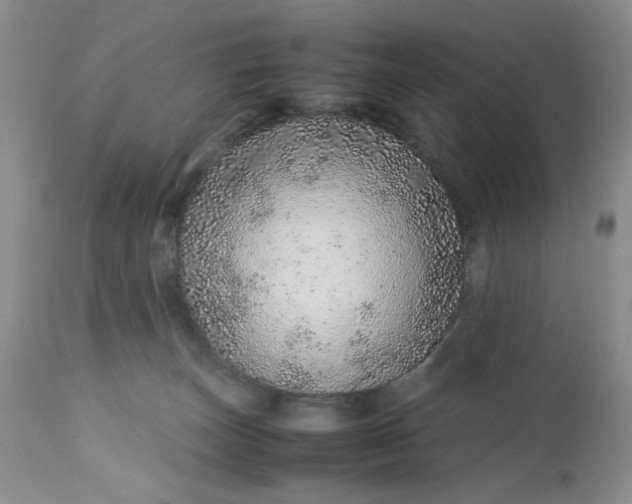 X0000113560179200910091423