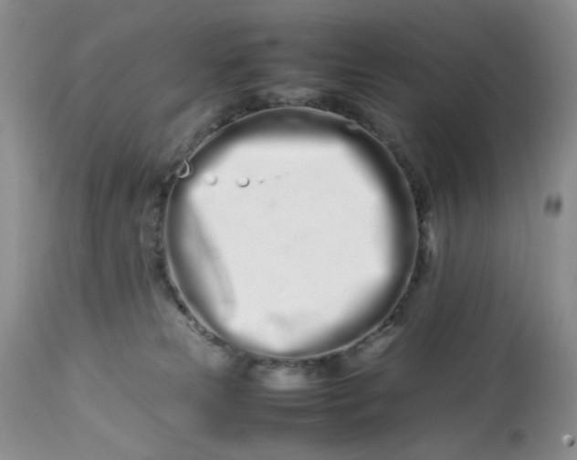 X0000113560181200910091423