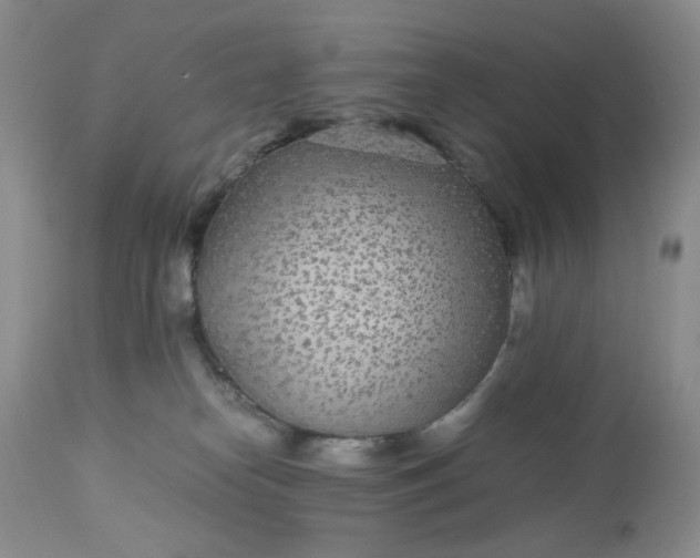 X0000113560182200910091423