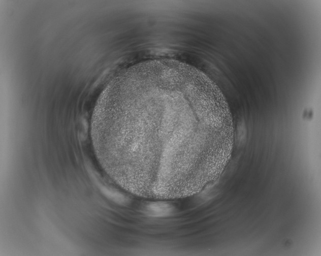 X0000113560183200910091423