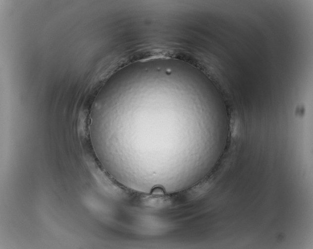 X0000113560185200910091423
