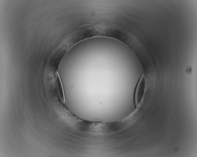 X0000113560186200910091423