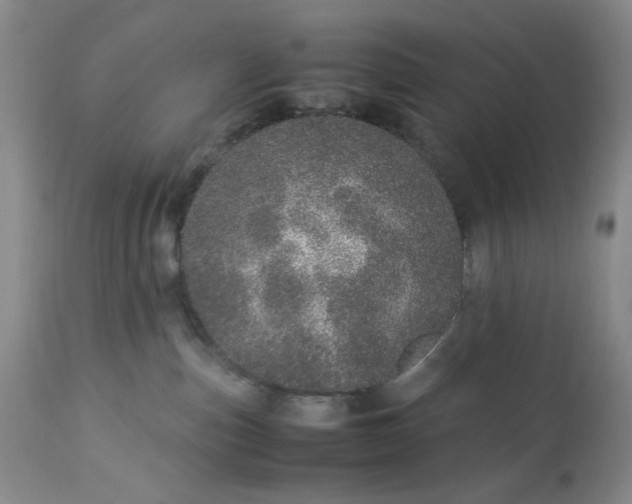 X0000113560187200910091423