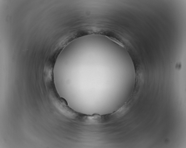 X0000113560188200910091423