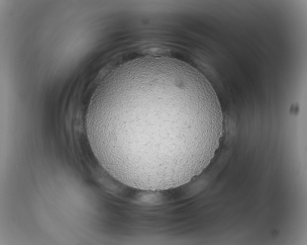 X0000113560189200910091423