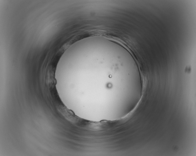X0000113560190200910091423