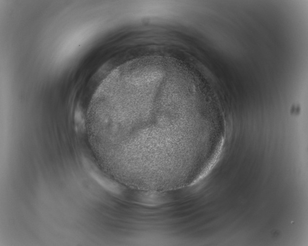 X0000113560191200910091423