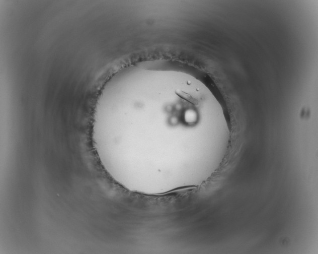 X0000113560192200910091423