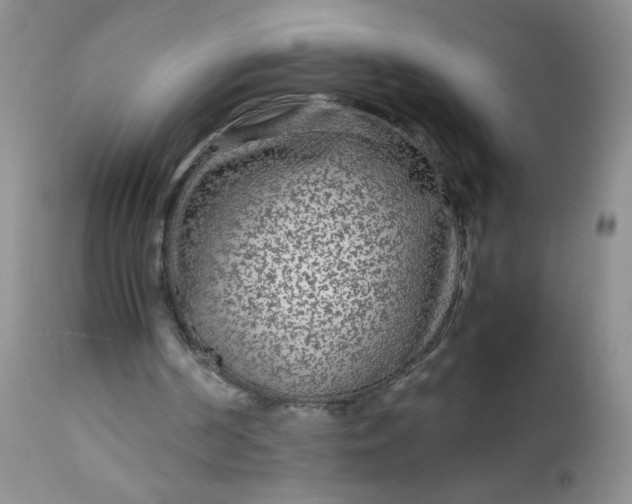 X0000113560194200910091423