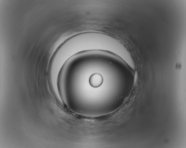 X0000113560195200910091423