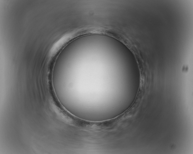 X0000113560197200910091423