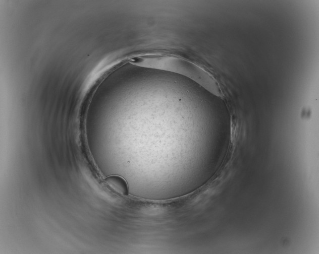 X0000113560198200910091423