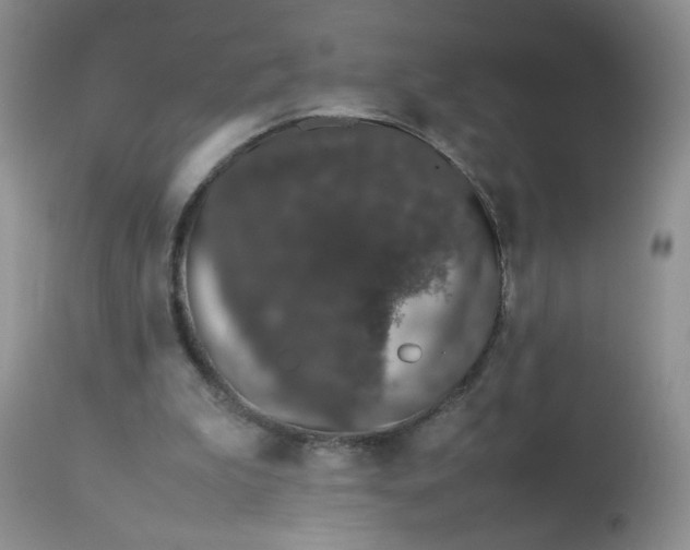 X0000113560199200910091423