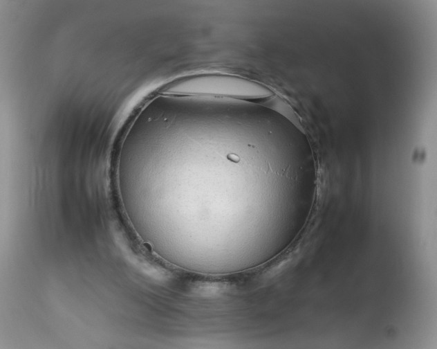 X0000113560200200910091423