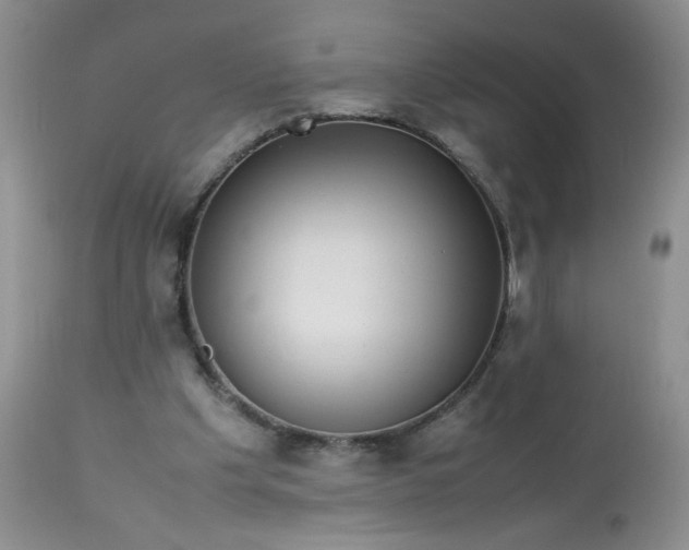 X0000113560201200910091423