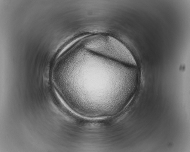 X0000113560202200910091423