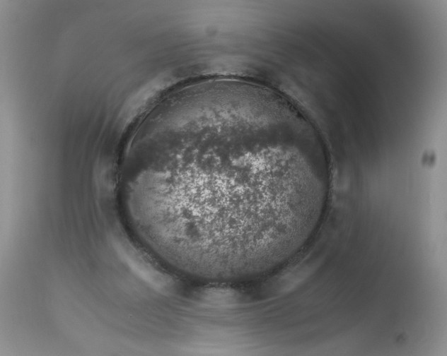 X0000113560203200910091423