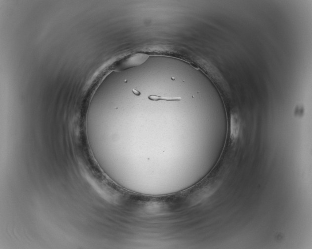 X0000113560204200910091423