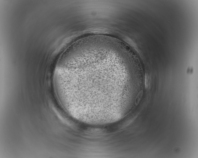 X0000113560205200910091423