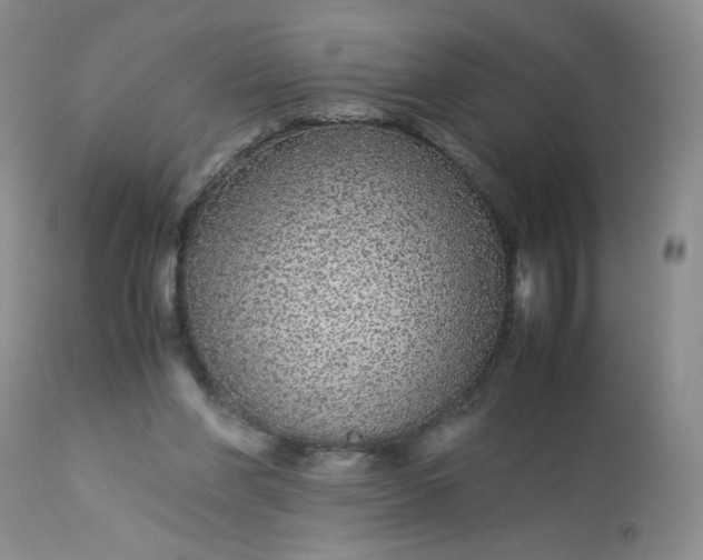 X0000113560206200910091423