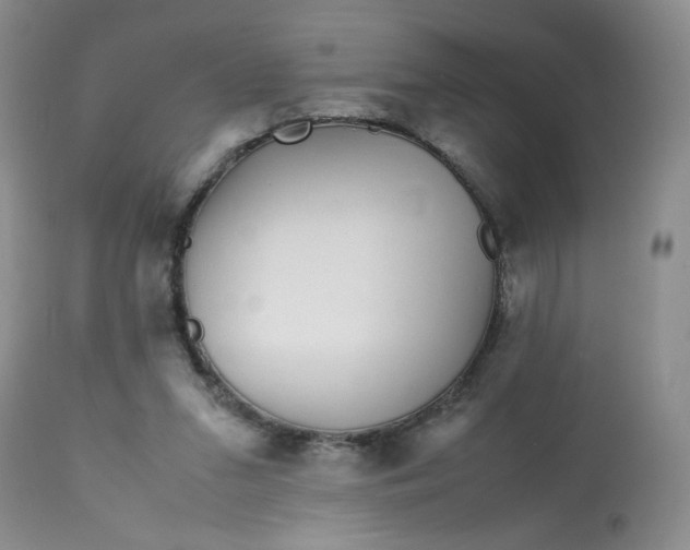 X0000113560207200910091423