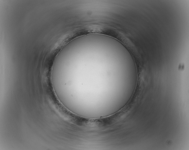 X0000113560209200910091423