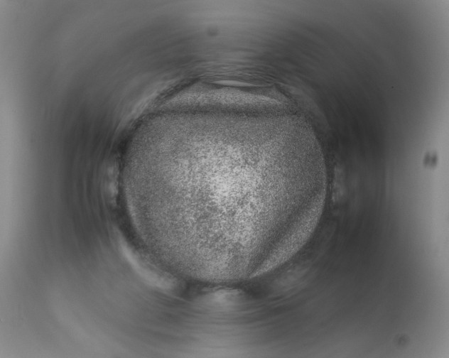 X0000113560210200910091423