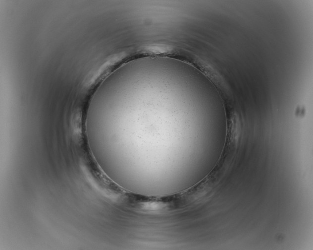 X0000113560212200910091423