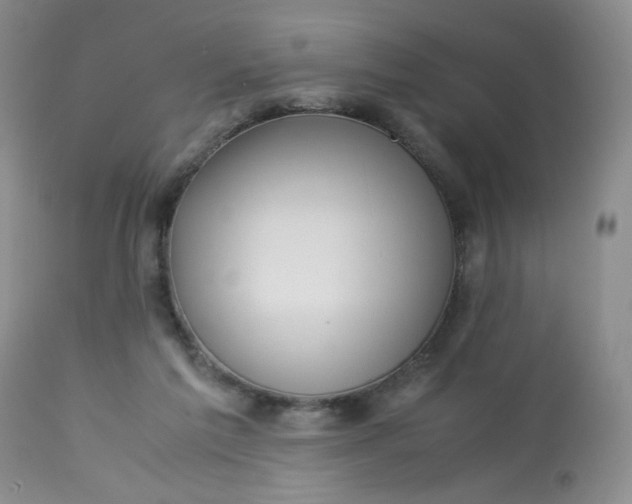 X0000113560213200910091423