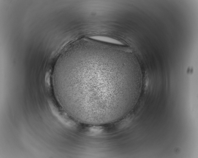 X0000113560214200910091423