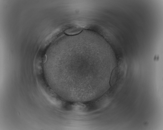 X0000113560215200910091423