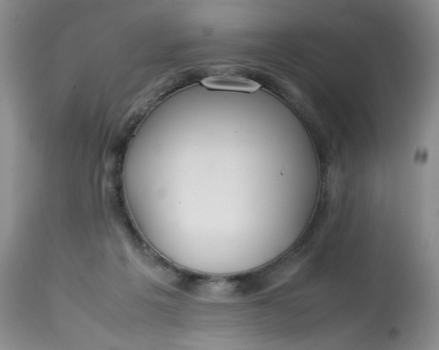 X0000113560217200910091422
