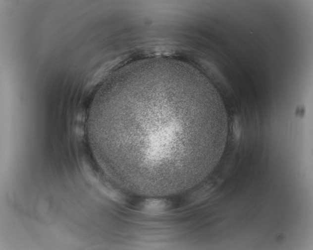 X0000113560218200910091422
